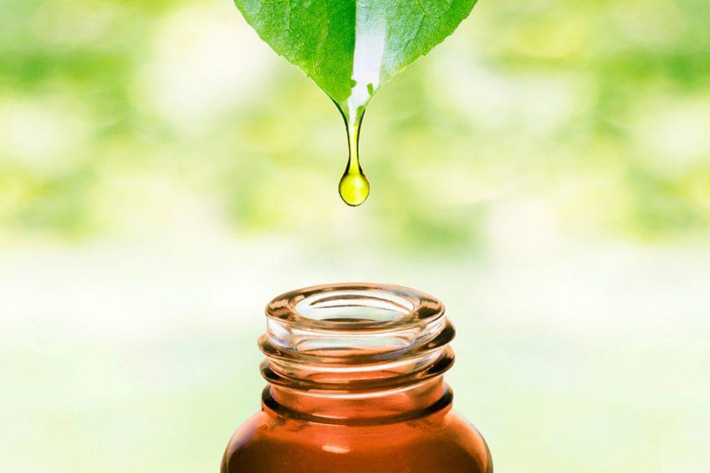 10 óleos essenciais doTERRA para problemas de pele