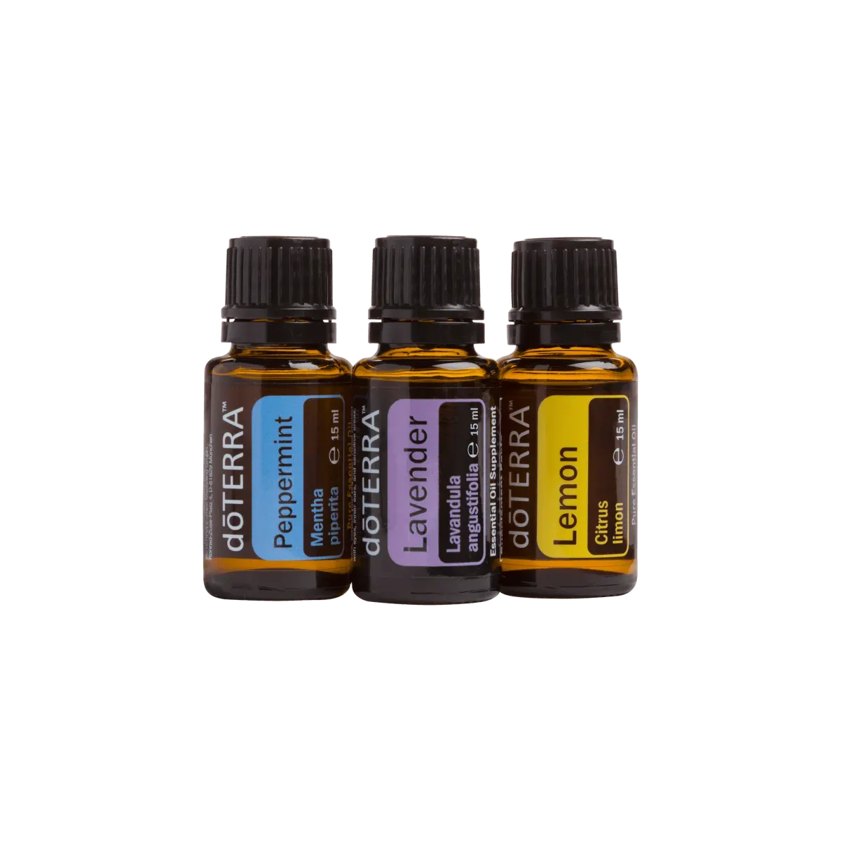 Kit Trio de Principiante