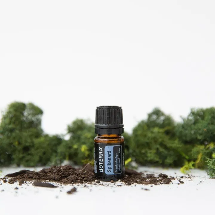 Óleo Essencial de Nardo (Spikenard)