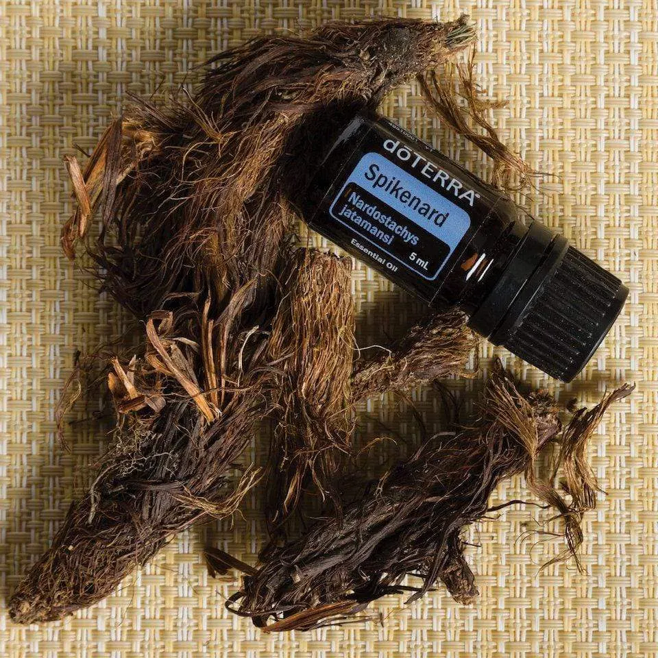 Óleo Essencial de Nardo (Spikenard)