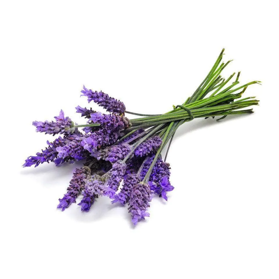 Óleo Essencial Lavanda