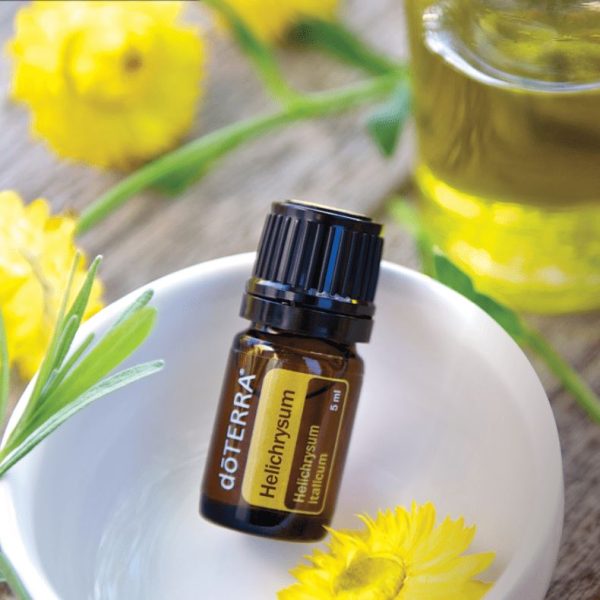 Helichrysum