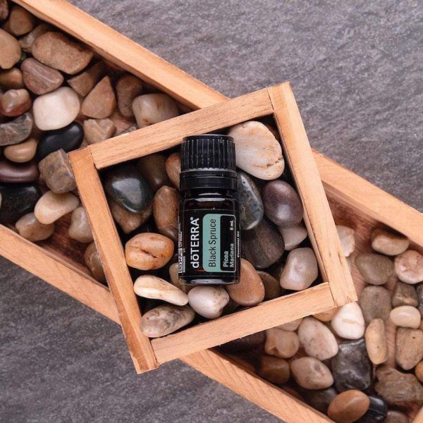 oleo essencial black spruce abeto negro