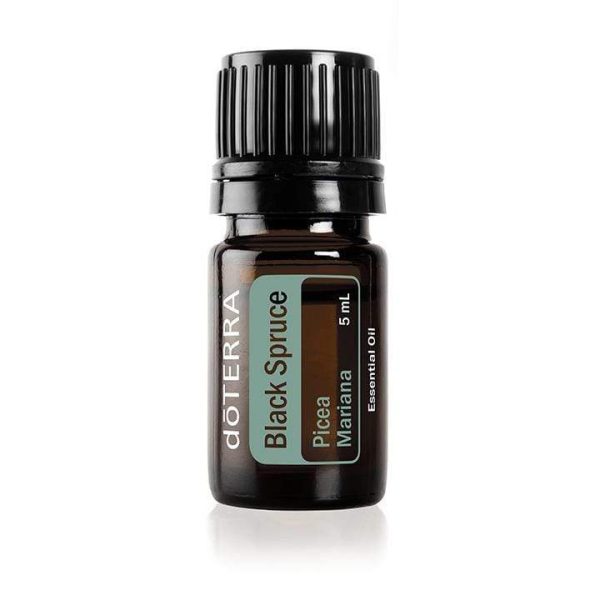 oleo essencial abeto negro black spruce