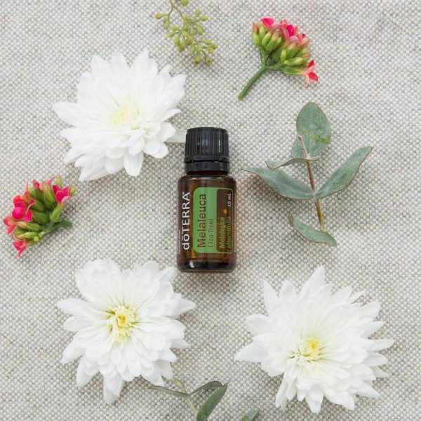 melaleuca