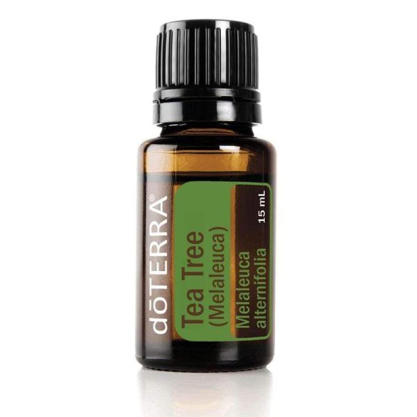 óleo essencial tea tree melaleuca