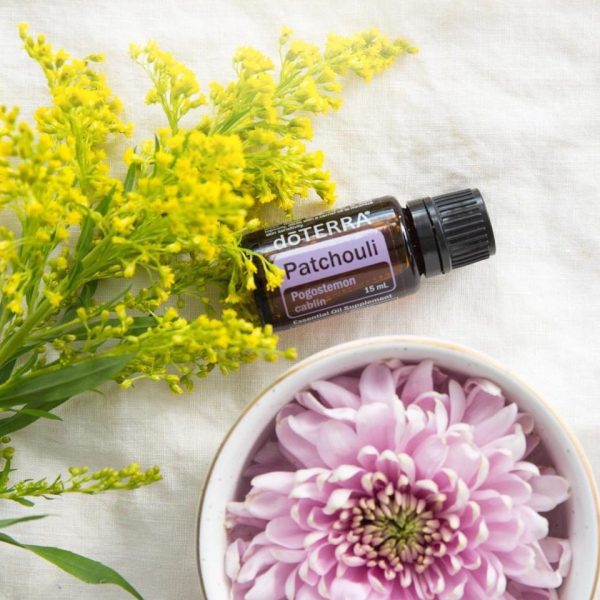 patchouli familia da menta