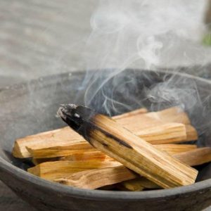 pau santo palo santo portugal venda