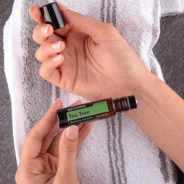 melaleuca tea tree touch doterra