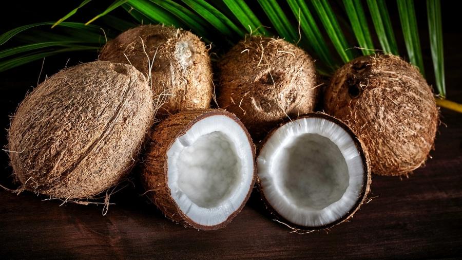 Qual a diferença entre o Óleo de Coco Fracionado e o Óleo de Coco Virgem?